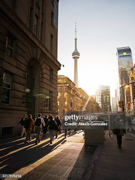 pedoni e cn tower durante il tramonto nel centro di toronto - toronto foto e immagini stock