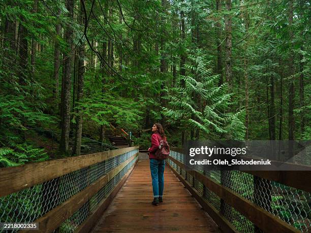 frau erkundet den ruhigen wald in vancouver, kanada im sommer - trail britisch kolumbien stock-fotos und bilder