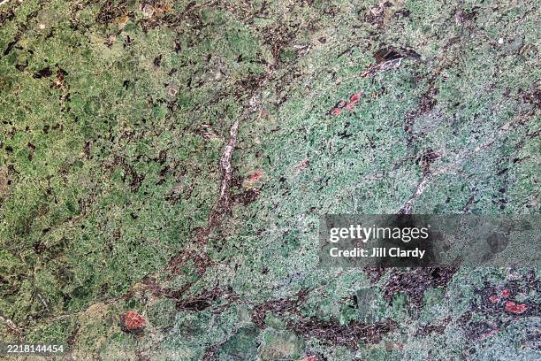 Geo Slab Rocks 155 Slab (Geology) Stock Photos, High-Res Pictures, and Images - Getty ...
