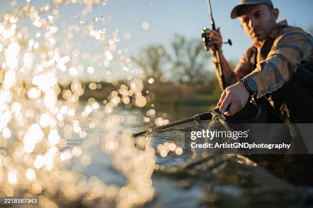 catch the big fish in the river during beautiful golden sunset. - reeling in big fish stock pictures, royalty-free photos & images