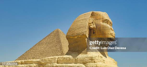 the sphinx and pyramids of giza. cairo, egypt - the sphinx stock pictures, royalty-free photos & images