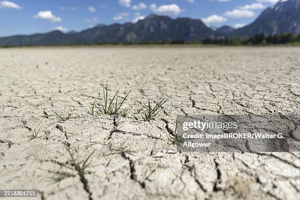 Waterless Spring 2,479 Ostallgäu Bavaria Stock Photos, High-Res Pictures, and Images ...