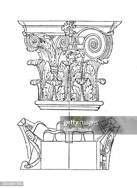theory of architecture: pilasters - cross section building stock illustrations