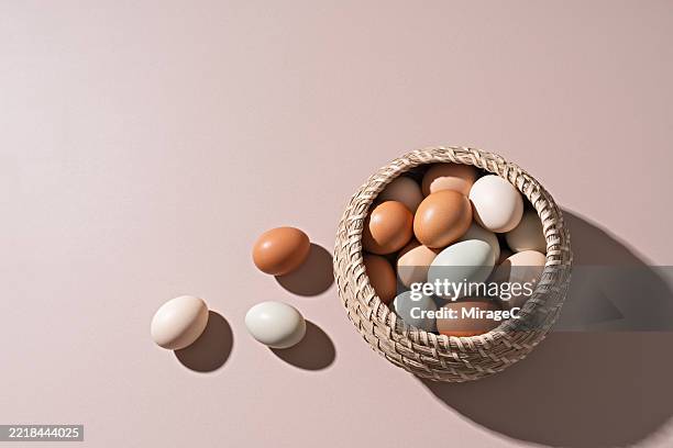 eggs with diverse shell tones stored in a basket - oeuf photos et images de collection