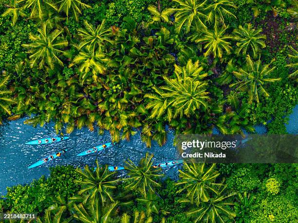 aerial view of kayakers exploring a tropical river surrounded by lush greenery - boracay philippines stock pictures, royalty-free photos & images