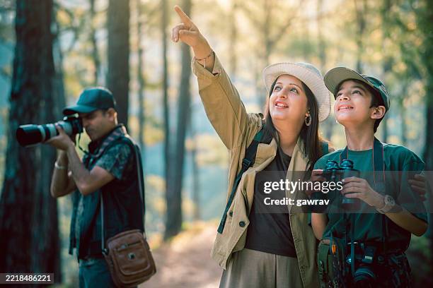 family's birdwatching expedition in a sunlit forest. - lente telefotográfica imagens e fotografias de stock