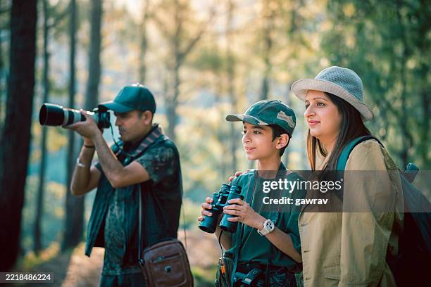family's birdwatching expedition in a sunlit forest. - bird watching stock pictures, royalty-free photos & images