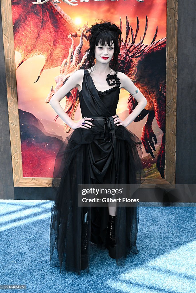 "How to Train Your Dragon" Los Angeles Premiere