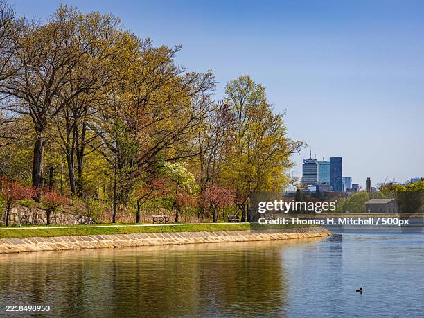 scenic view of brookline reservoir with boston skyline in the background,united states,usa - brookline massachusetts stock pictures, royalty-free photos & images