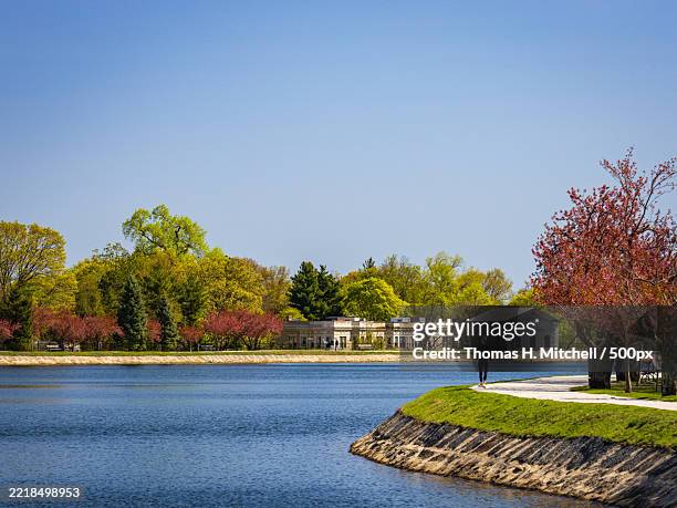 woman walking along brookline reservoir in spring,united states,usa - brookline massachusetts stock pictures, royalty-free photos & images