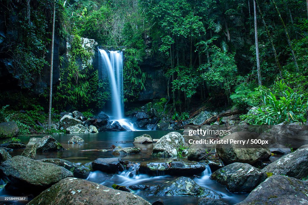 Tranquil Waterfall in Lush Forest