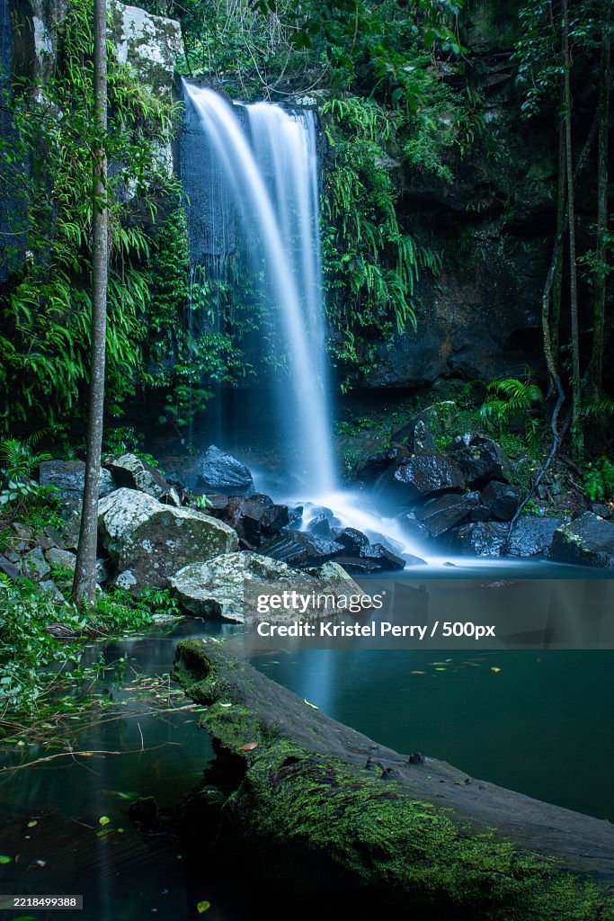 Tranquil Waterfall in a Lush Forest