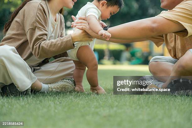 young family encouraging their baby's first steps in the park, as the parents cheer with joy and pride at every tiny step - primeiros passos imagens e fotografias de stock
