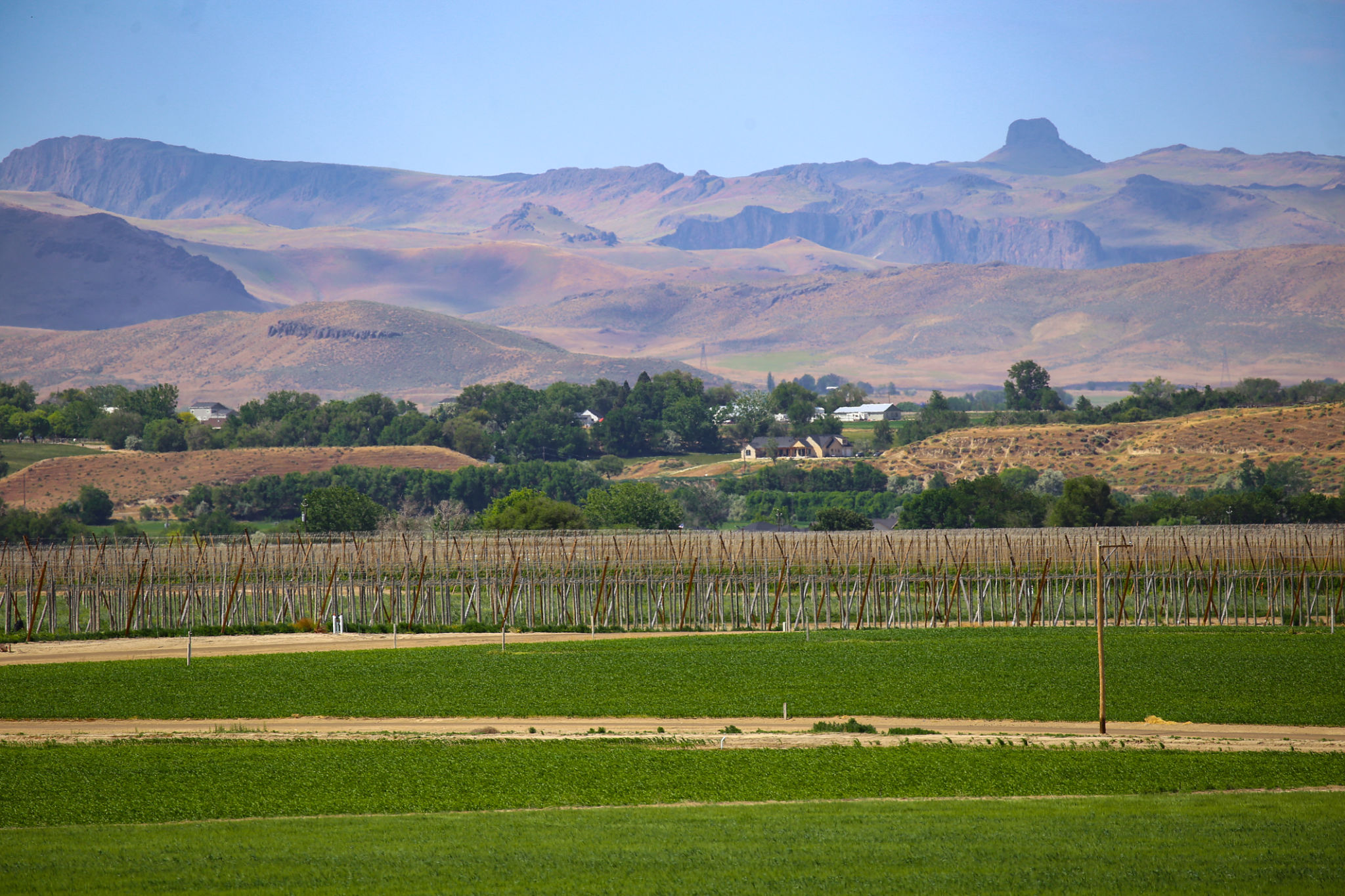 boise organic farm
