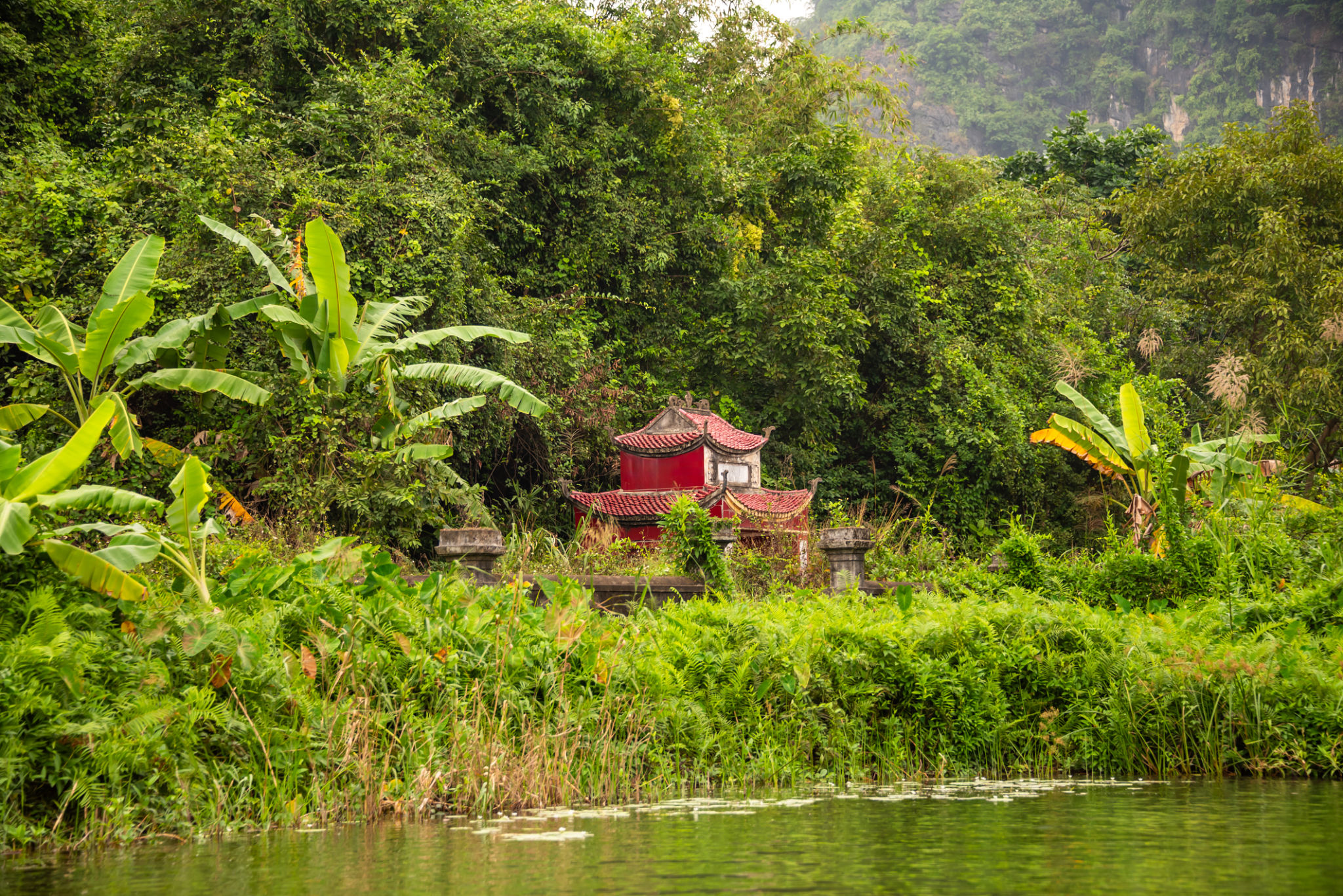 Lush vegetation and beautiful asian landscape at river in Ninh Binh, Vietnam Lush vegetation and beautiful asian landscape at river in Ninh Binh, Vietnam