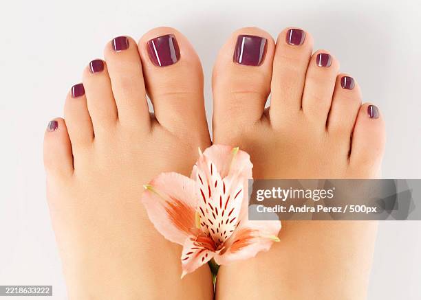low section of woman with flower against white background - pedicure stock pictures, royalty-free photos & images