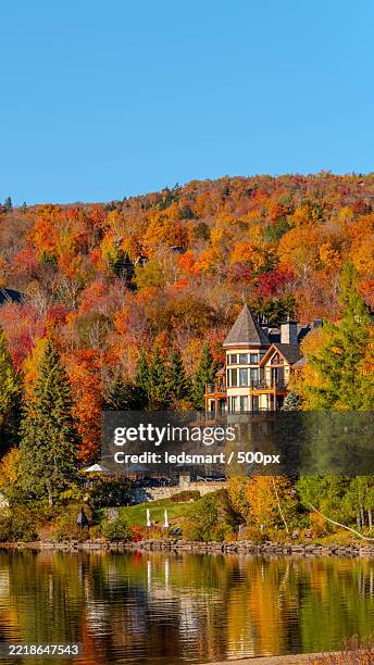 trees by lake against sky during autumn,montreal,canada - montréal stock pictures, royalty-free photos & images