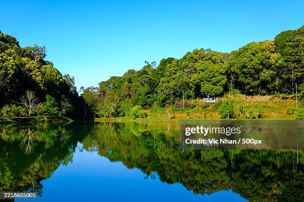 scenic view of lake against clear sky - nhan stock pictures, royalty-free photos & images