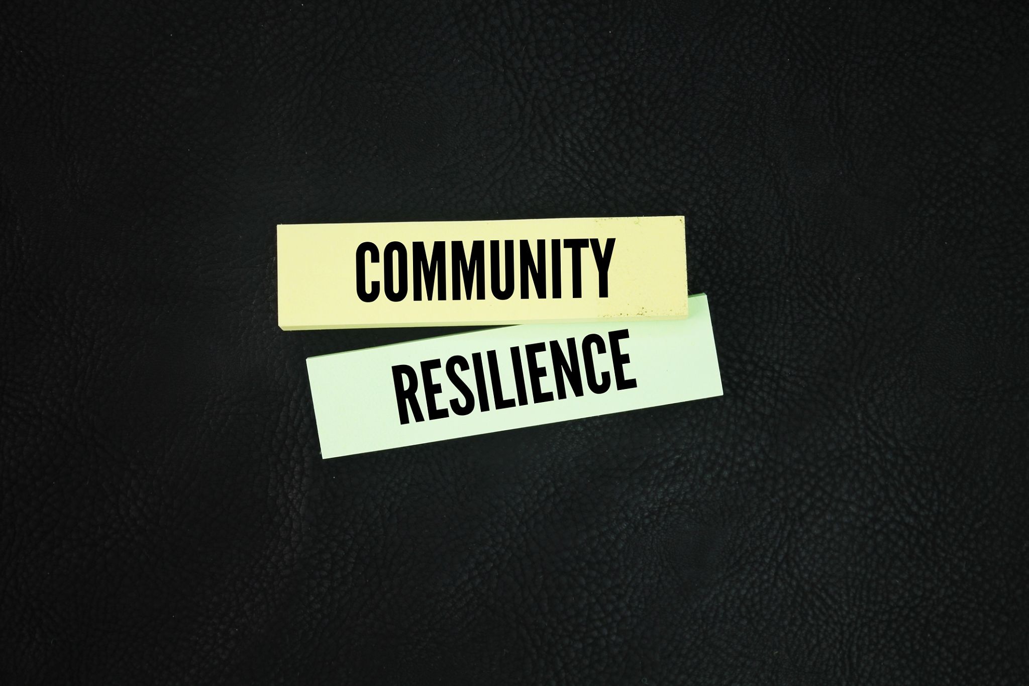 resilient community