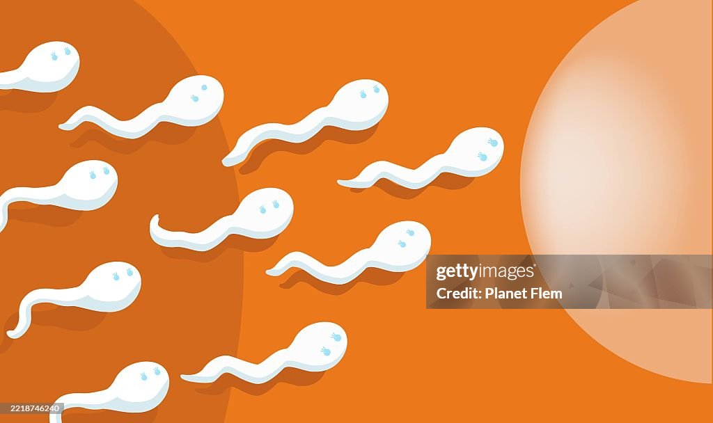 Fertility