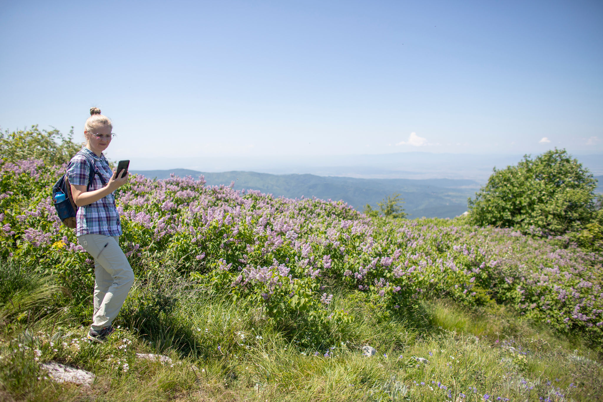 spring flowers hiking