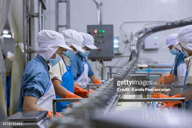 workers on canned food production line - crisps-factory stock pictures, royalty-free photos & images