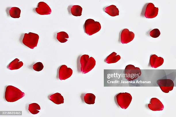 red roses petals - rose petal stock pictures, royalty-free photos & images