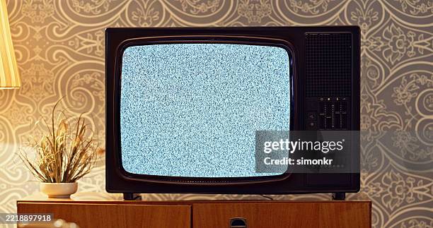 vintage television static display against retro wallpapered wall with decorative plant - programa de televisão imagens e fotografias de stock