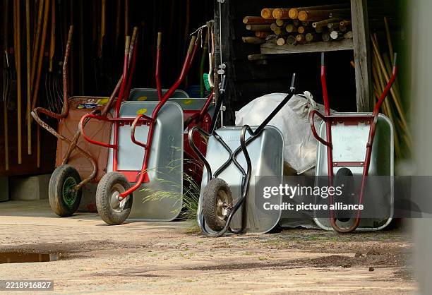Berlin. Metal wheelbarrows in the shed of a garden center. Photo: Wolfram Steinberg/dpa Photo: Wolfram Steinberg/dpa