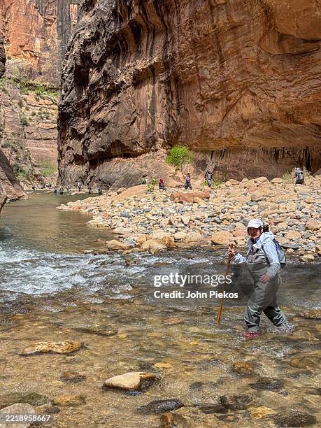 hiking the narrows at zion national park - virgin river stock pictures, royalty-free photos & images