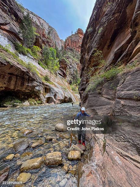 hiking the narrows at zion national park - virgin river stock pictures, royalty-free photos & images