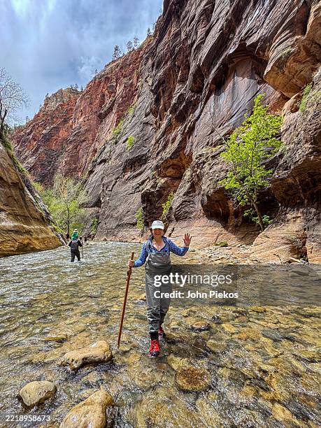 hiking the narrows at zion national park - virgin river stock pictures, royalty-free photos & images