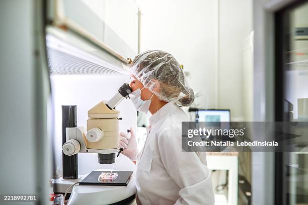 day-3 embryo culture medium replacement by ivf specialist - electron microscope cells stock pictures, royalty-free photos & images