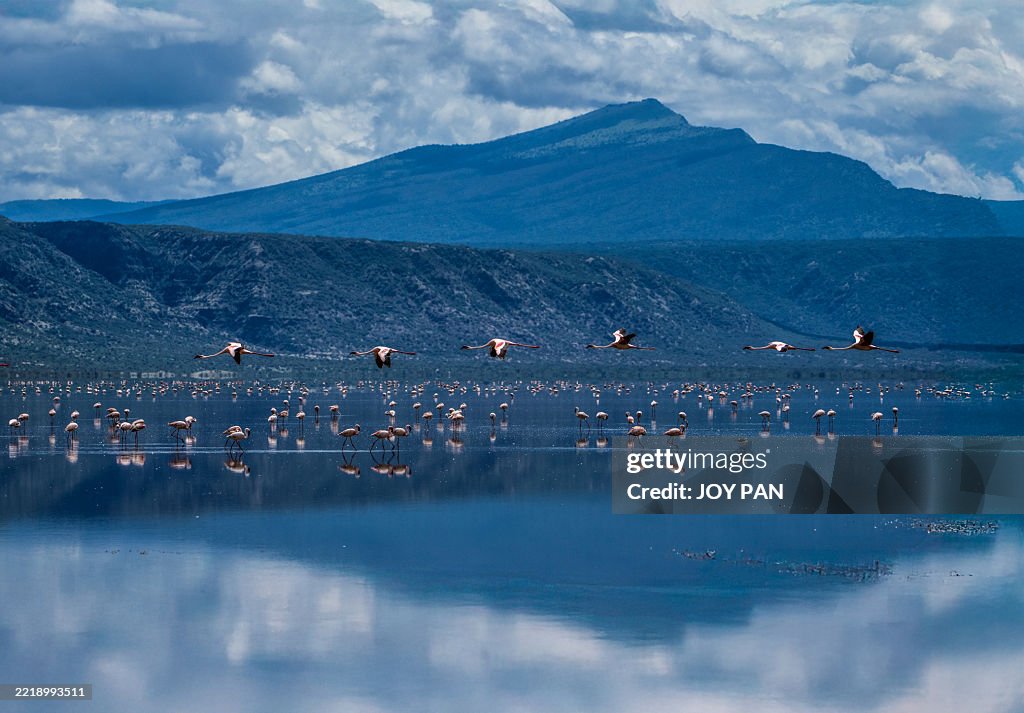 Flight Over the Rift