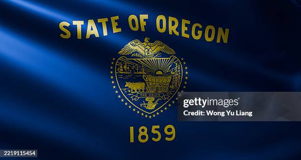 oregon state flag close up - oregon estado dos eua imagens e fotografias de stock