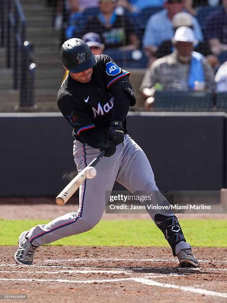 Miami Rays Nick Fortes of the Miami Marlins in the game against the Tampa Bay ...