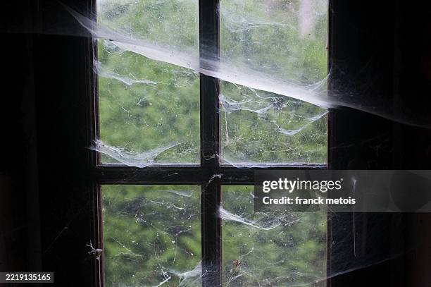Window Coombe 549 Spiderweb Window Stock Photos, High-Res Pictures, and Images ...