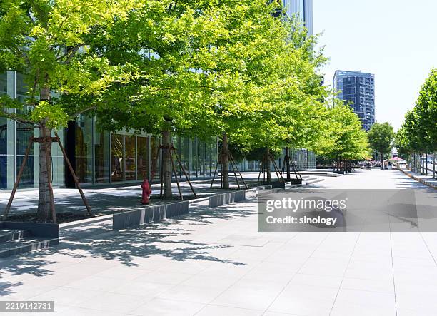 100,305 City Street With Trees Stock Photos, High-Res Pictures, and ...