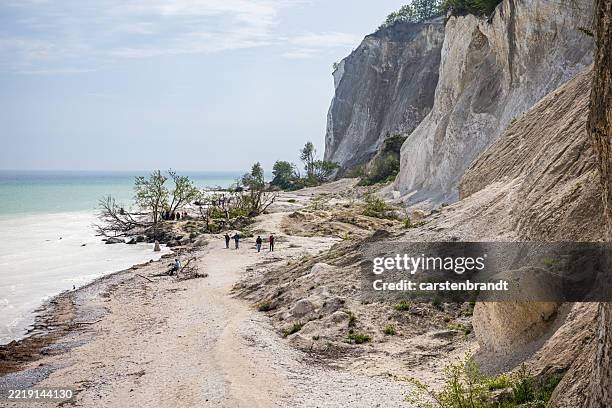 People Walking Among Fallen Trees At The Foot Of Mns Klint, 照片檔