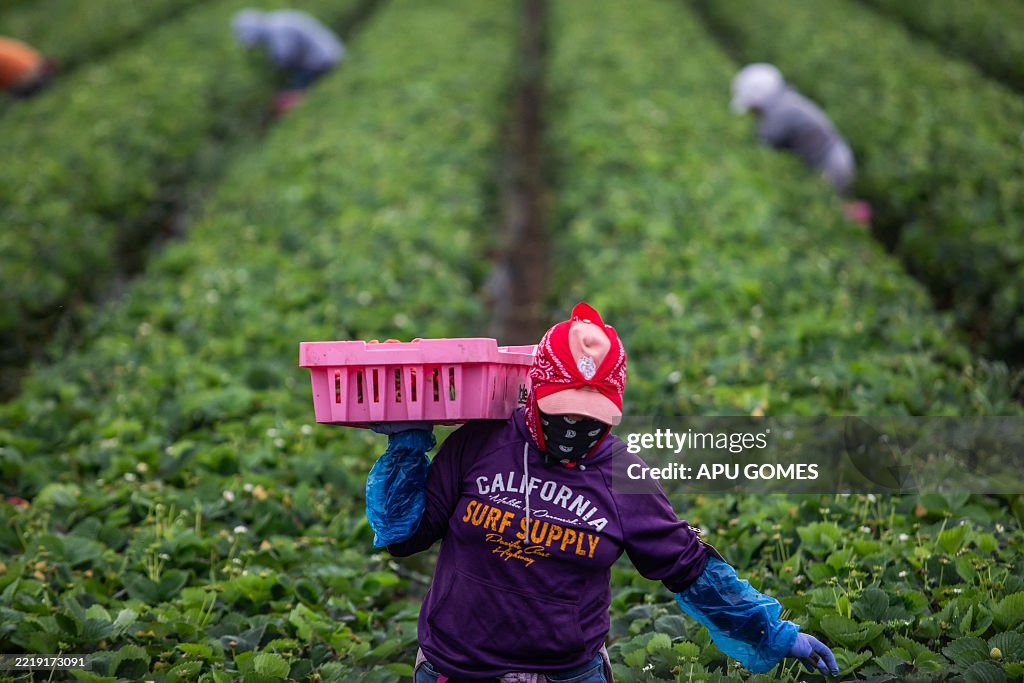 US-POLITICS-IMMIGRATION-ICE