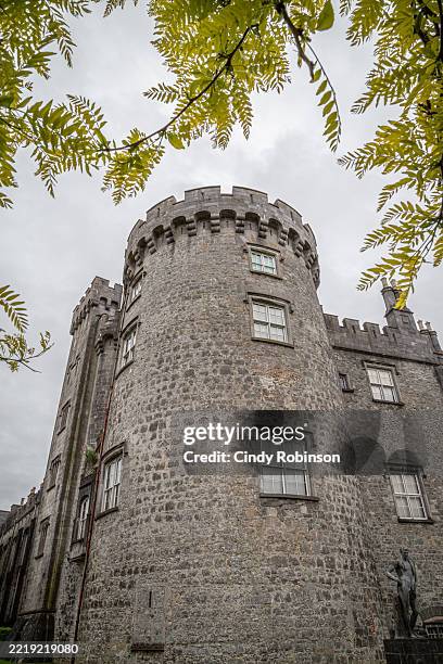 kilkenny castle - river nore stock pictures, royalty-free photos & images