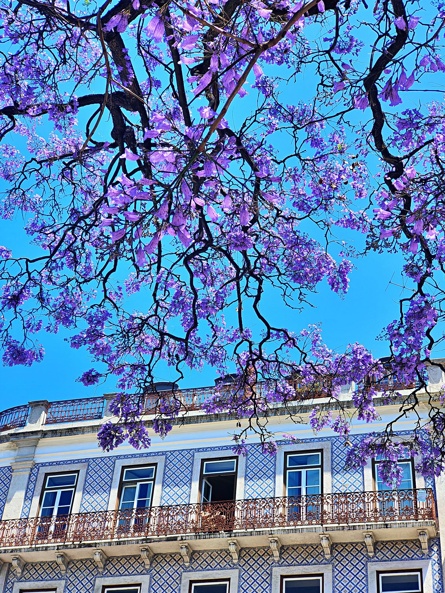lisbon spring