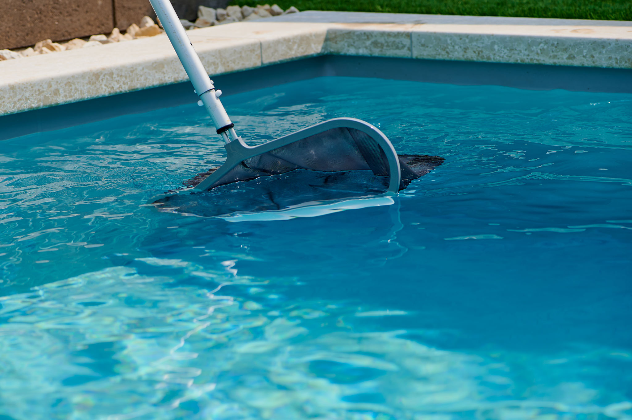 pool service