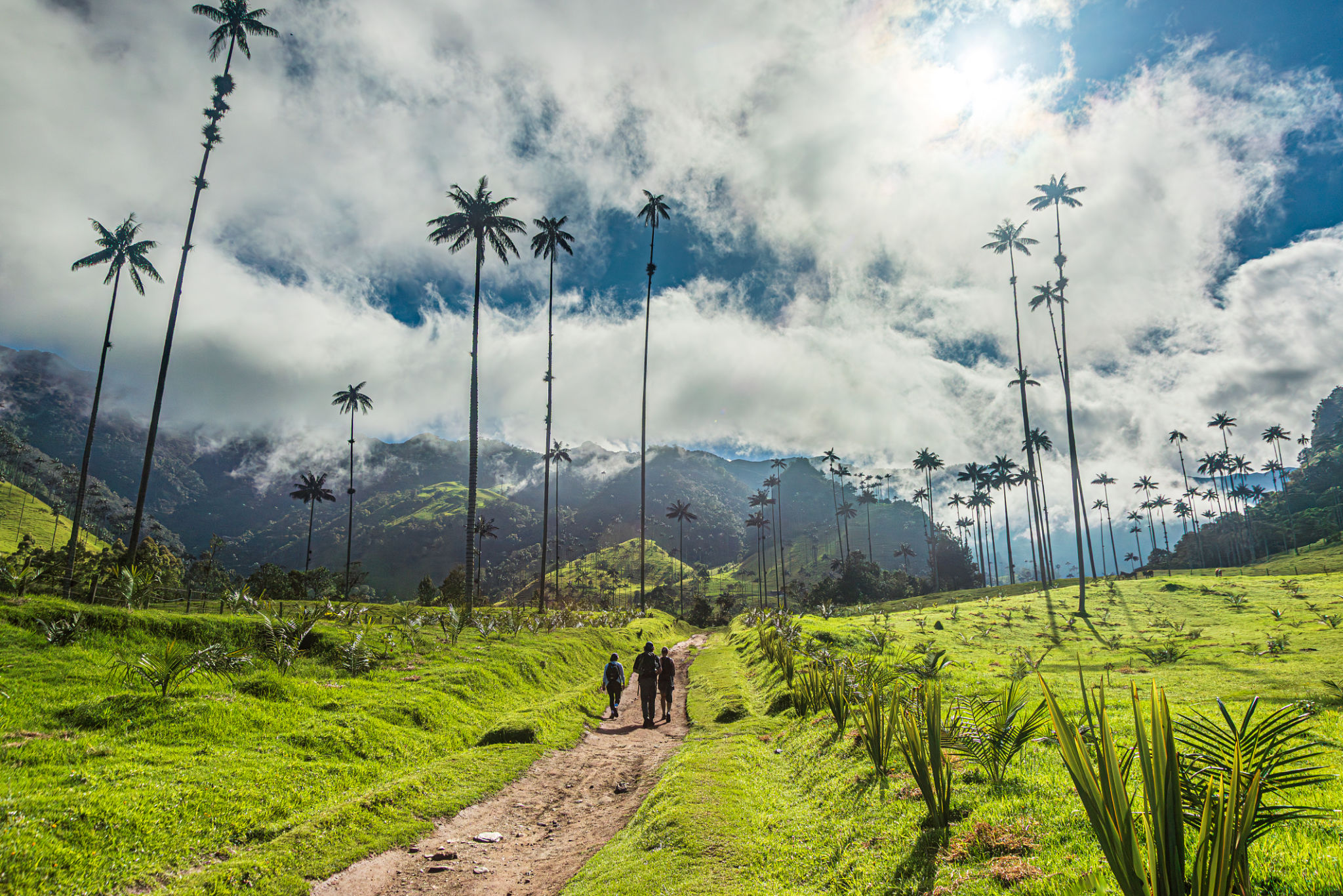 hiking Colombia
