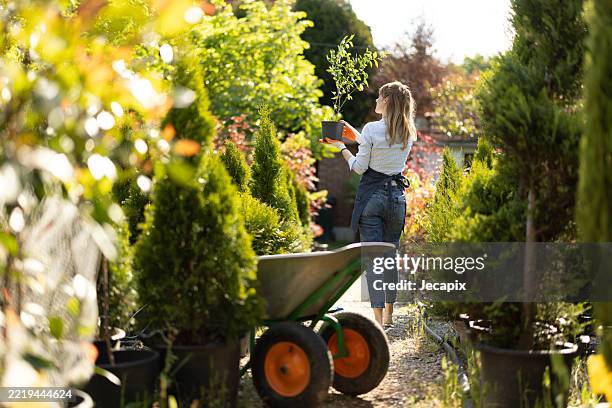 woman working in garden center during sunny spring day - tuincentrum stockfoto's en -beelden