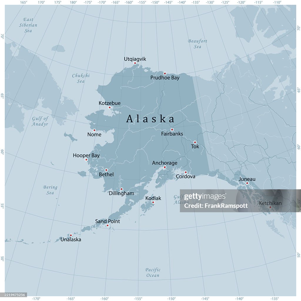 Alaska US State Vector Road Map Grey