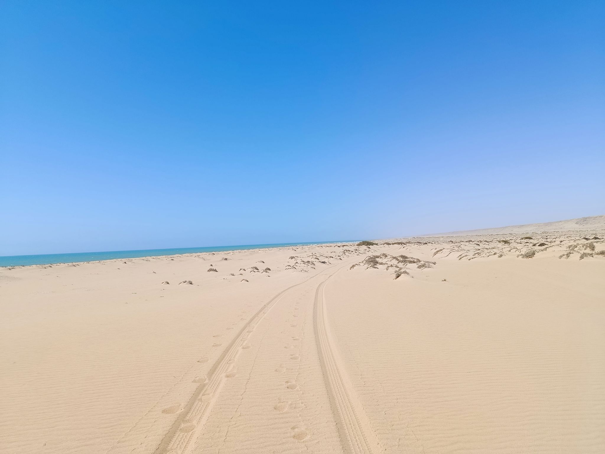 car tires desert