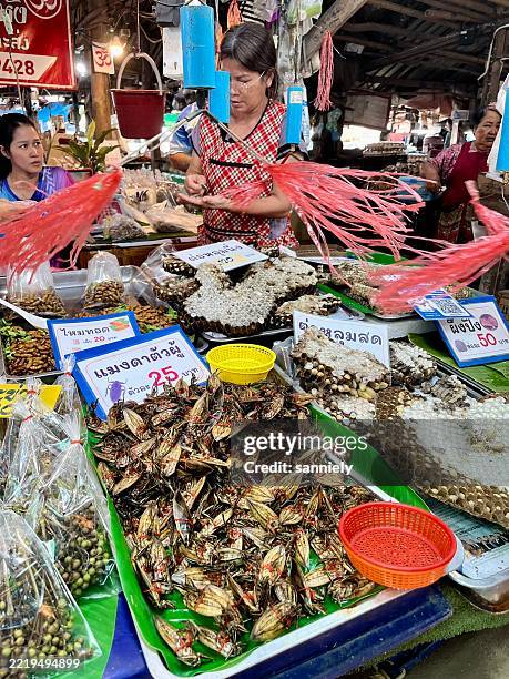 tailandia - mercado local - insecto comestible fotografías e imágenes de stock