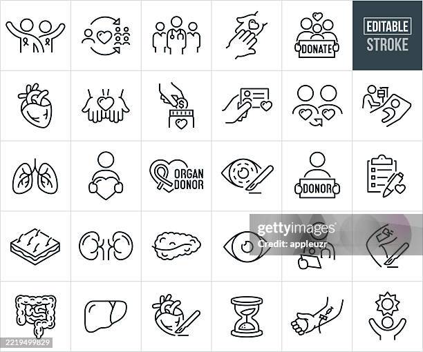 organspende thin line icons - editierbarer schlaganfall - zu den symbolen gehören organspender, organtransplantation, menschliches organ, herz, ösen, gewebe, darm, leber, niere, bauchspeicheldrüse, hornhaut, medizinisches personal, transplantatempfänge - organspende stock-grafiken, -clipart, -cartoons und -symbole