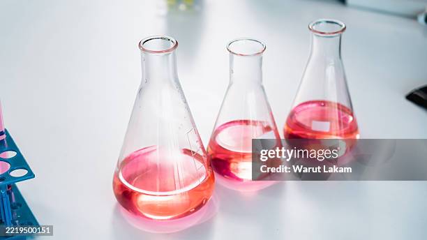 erlenmeyer flasks pink chemical solution laboratory - laboratory report stock pictures, royalty-free photos & images